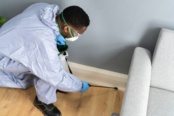 Best Real Estate Pest Inspections  in Coolidge, AZ